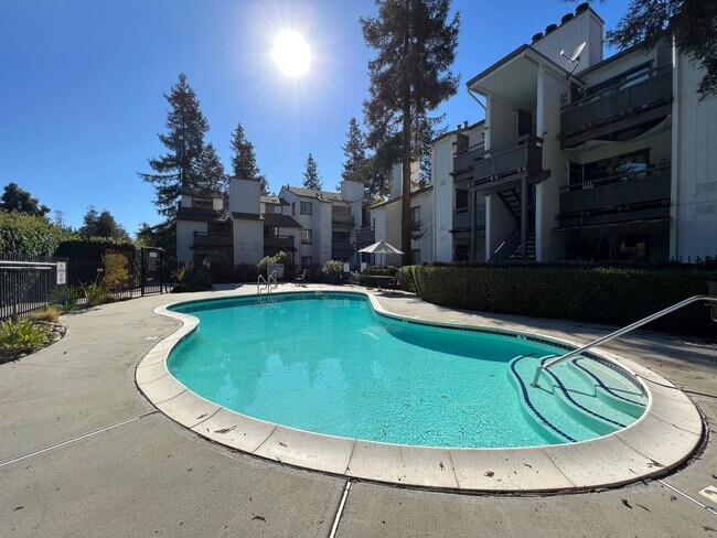 Building Photo - Bright Spacious Downstairs 1 bedroom 1 bath Condo in Serene North San Jose Community