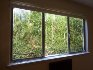 Building Photo - North Vista 4
