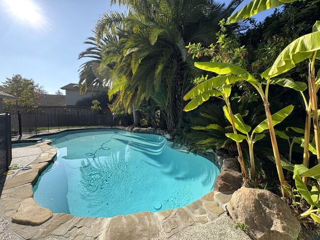 Building Photo - Beautiful Palo Alto Home with In-Law Suite, Central AC & Heated Pool