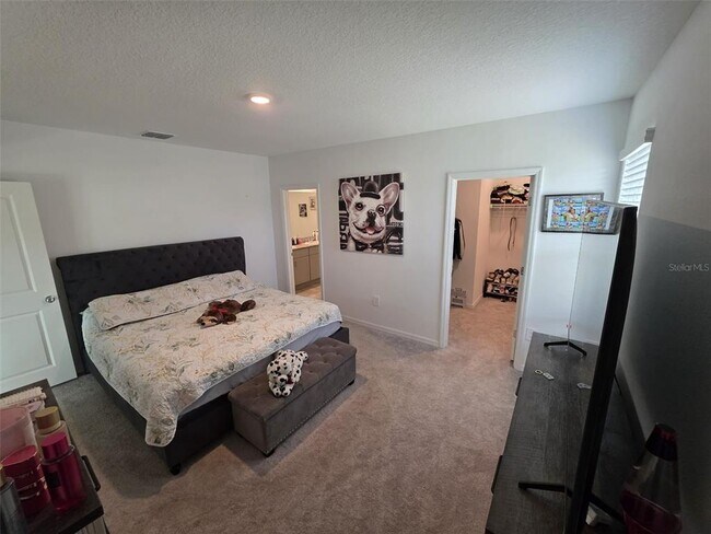 Building Photo - 559 Wayland Dr