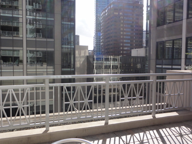 Large Balcony - 819 Virginia St