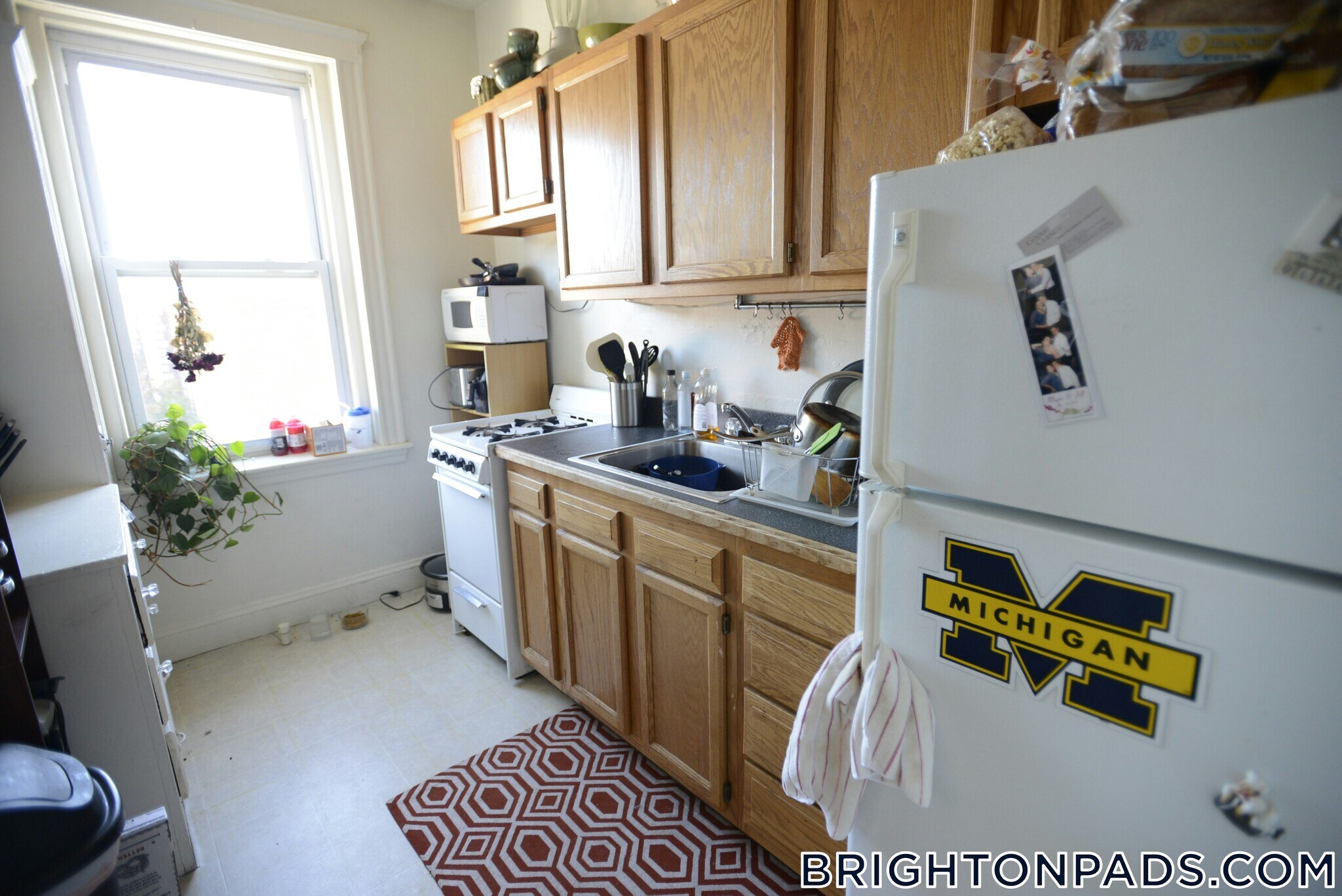 Building Photo - 66 Chiswick Rd