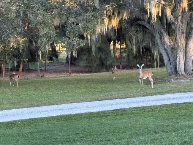 Building Photo - 1950 Bern Creek Loop