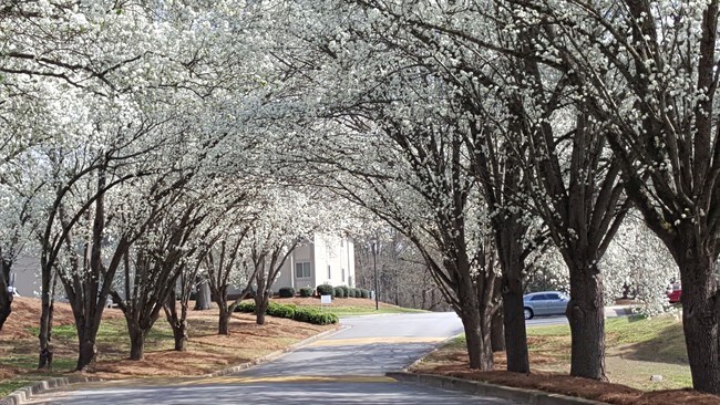 Lakeview Garden Homes Union, SC Apartment Finder
