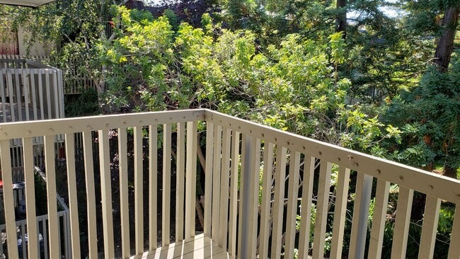 Building Photo - Cozy Studio Condo Available Now at Shelter Creek!