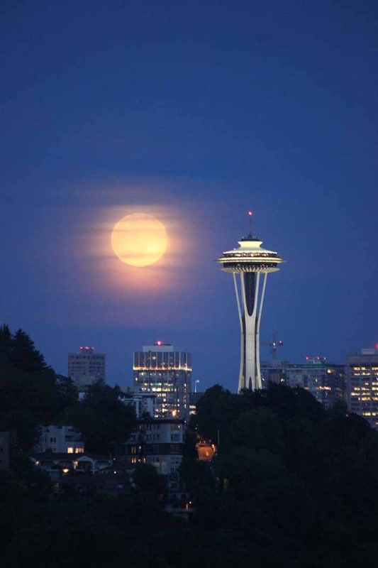 Building Photo - 2349 W Newton St