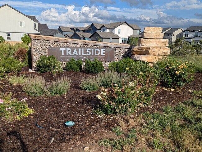 Building Photo - BRAND NEW HOME FOR RENT IN TIMNATH TRAILSI...