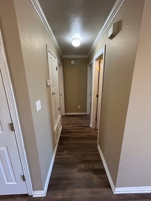 Building Photo - 1326-1328 Pine Hill Drive