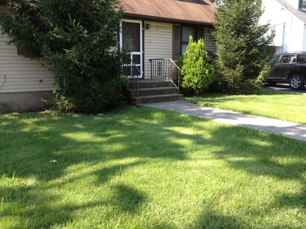 Building Photo - 17 Wright St