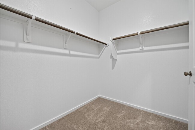 Building Photo - 24657 Monarch Forest Dr