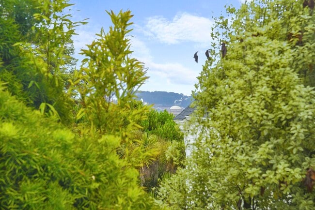 Building Photo - 1925 Leavenworth St