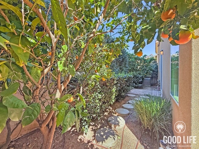 Building Photo - Stunning 4B/3BA house in San Elijo Hills!