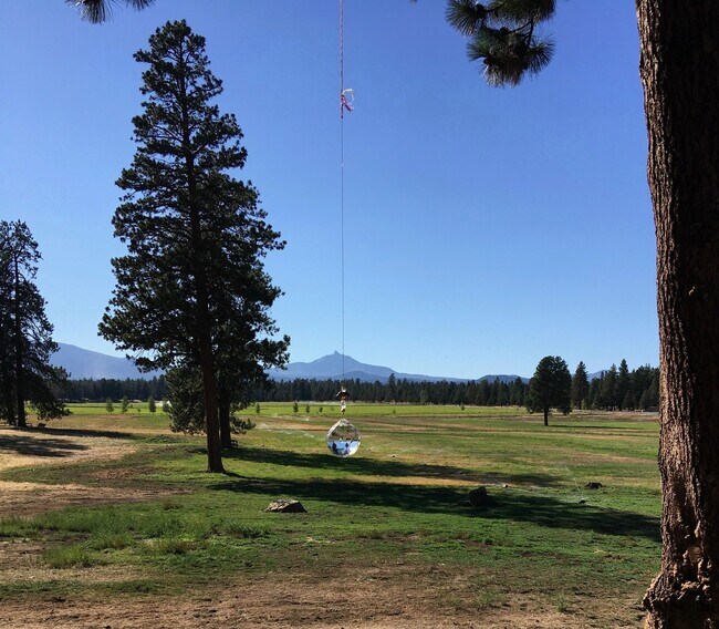 Building Photo - Furnished Condo in Pine Meadow Village