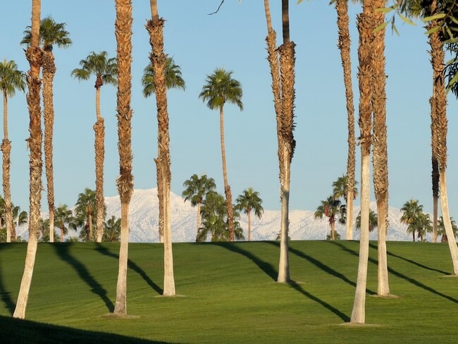 Building Photo - 289 Vista Royale Cir W