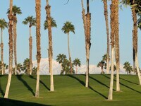 Building Photo - 269 Vista Royale Cir W