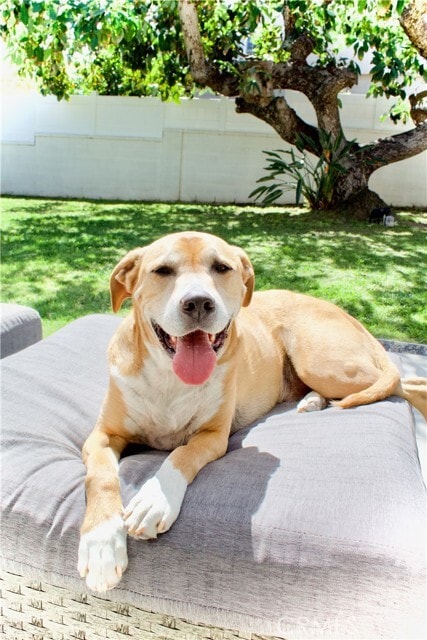 Building Photo - 8727 Glider Ave