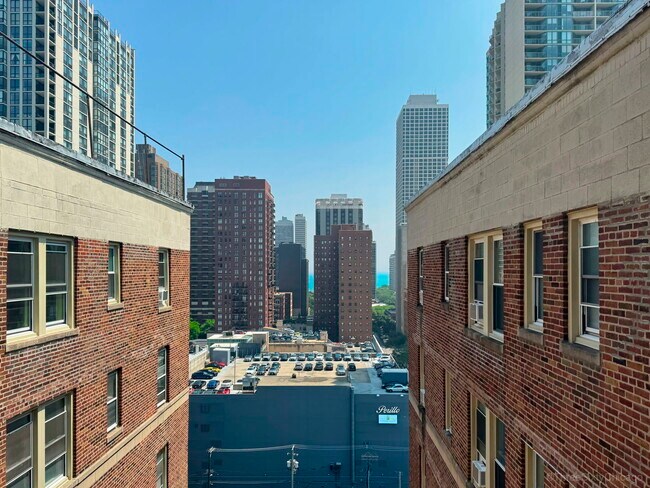 Building Photo - 1100 N La Salle Dr