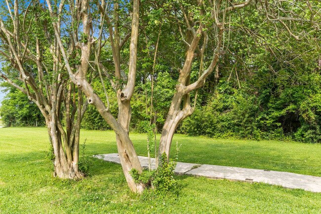 Building Photo - 12336 Perkins Rd