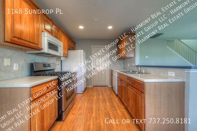 Building Photo - 1148 Sundrop Pl