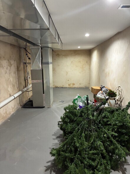 Basement (Storage) - 1831 Ginnodo St