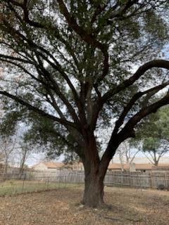 Building Photo - 7402 Southgate Ln