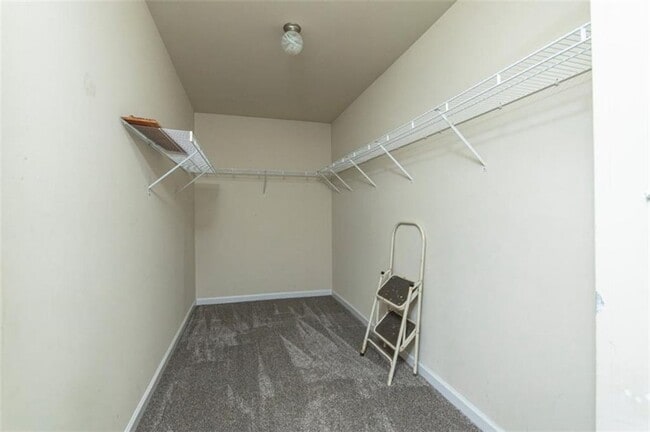 Building Photo - 310 Sugarberry Ln