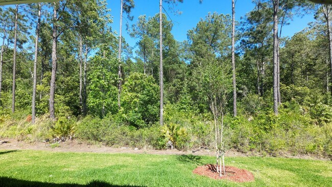 Building Photo - 106 Zancara St