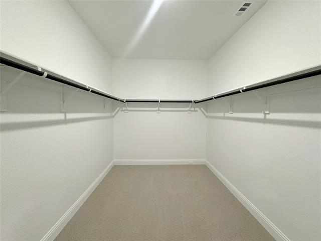 Building Photo - 3713 Canyon Dr