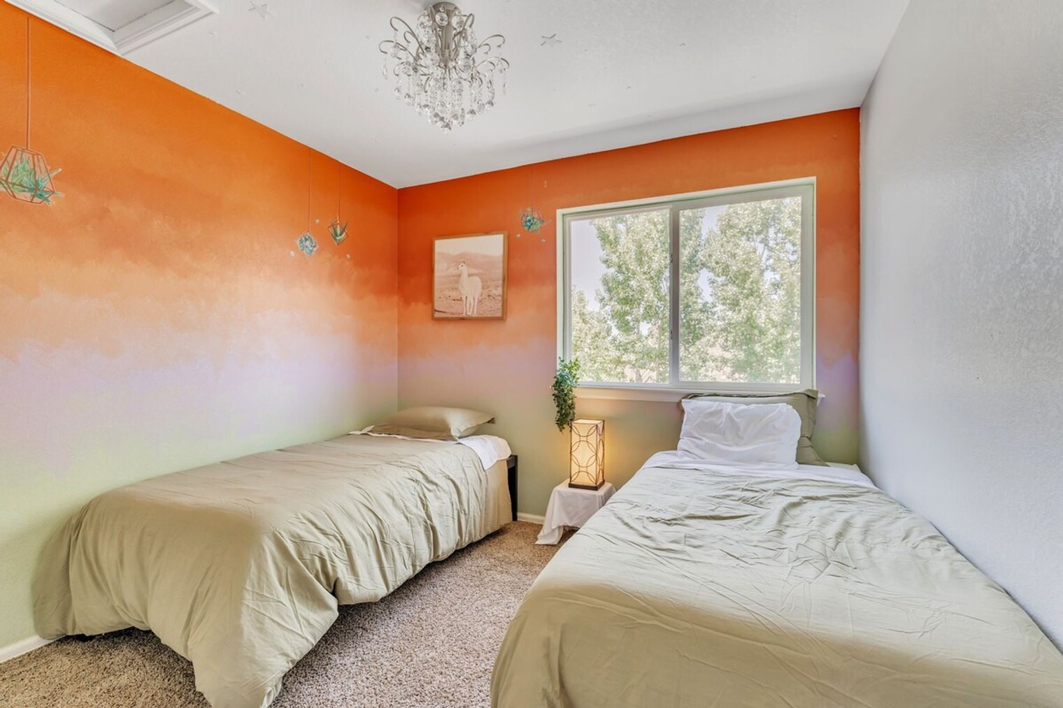 Building Photo - 5153 Chicory Cir