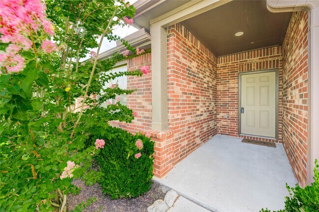 Building Photo - 3027 Dripping Springs Ct