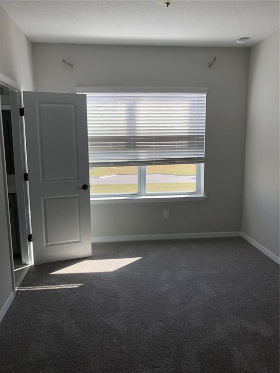 Building Photo - 794 Candlebrush Ln