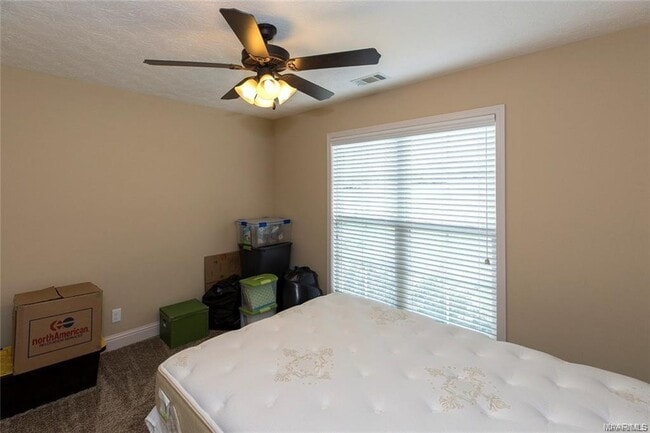 Building Photo - 175 Serene Ln