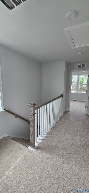Building Photo - 567 Sybil St
