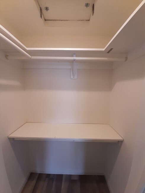 Mini Walk In Closet - 205 N Florence St