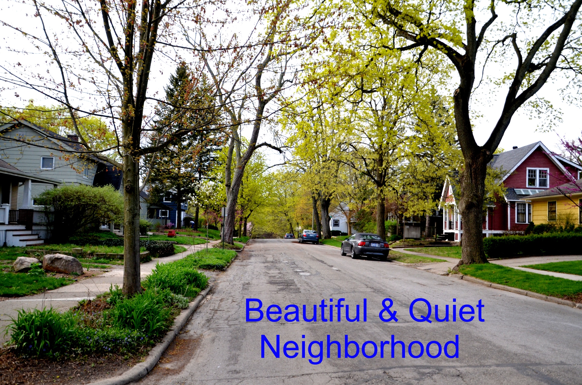 Neighborhood - 408 Montgomery Ave