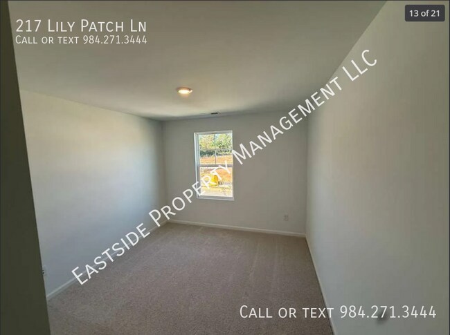 Building Photo - 217 Lily Patch Ln