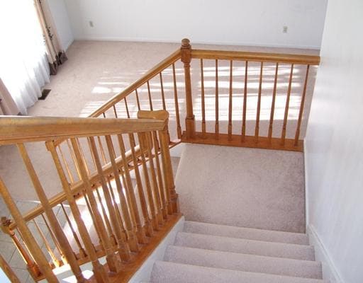 Building Photo - 2341 Timbercrest Ct