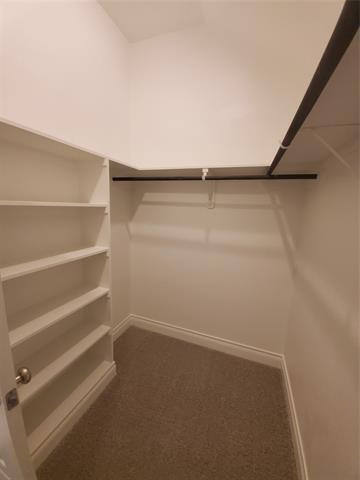 Building Photo - 2321 Birdwell Cove