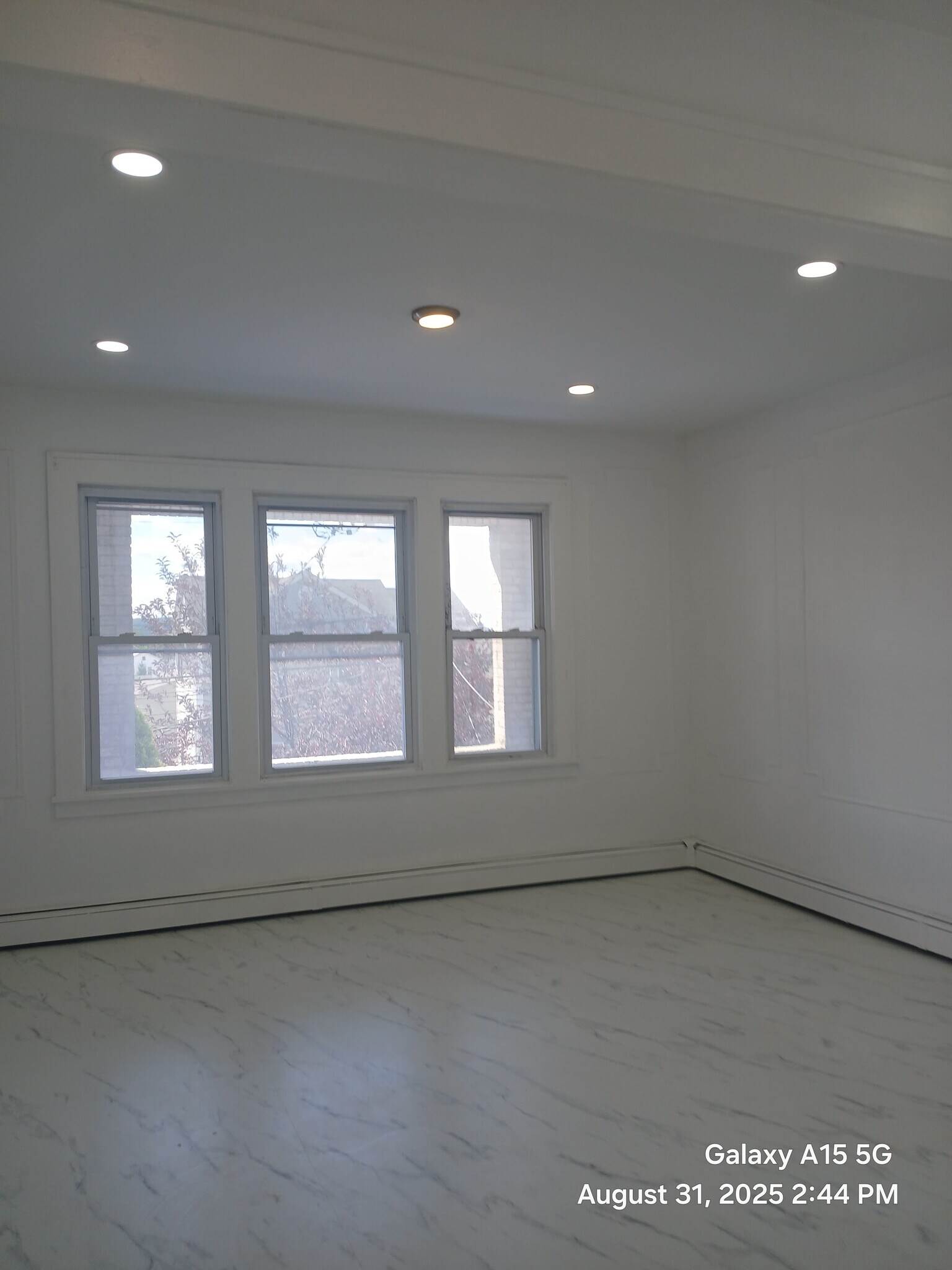 Building Photo - 247 Elm St