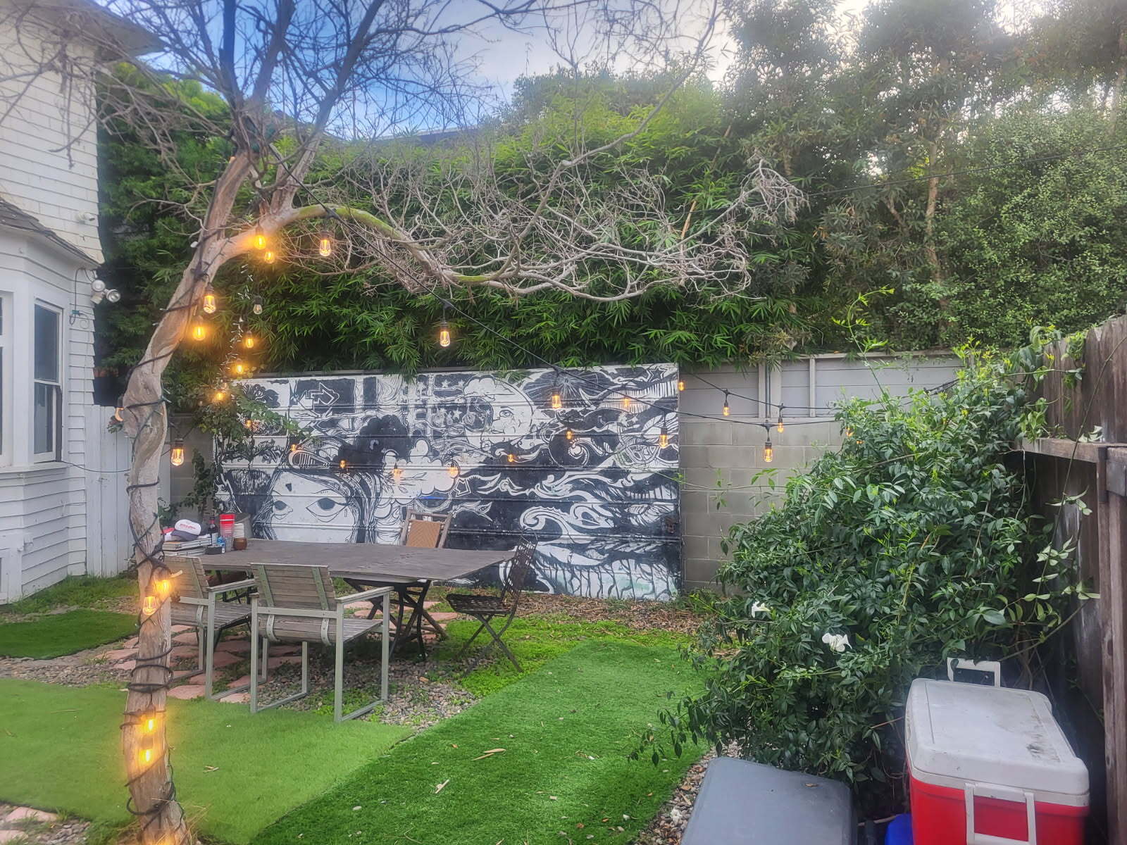 BACK YARD - 49 Dudley Ave