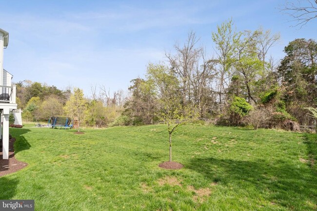 Building Photo - 41816 Marigold Mill Pl