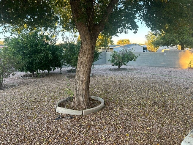 Building Photo - 2 bedroom long term rental in Sun Lakes