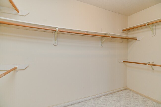 Building Photo - 3410 Streamside Ln