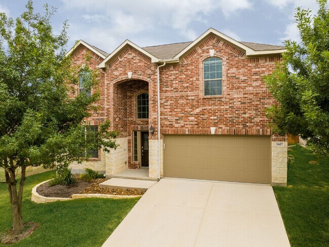 Primary Photo - 3607 Texas Sotol