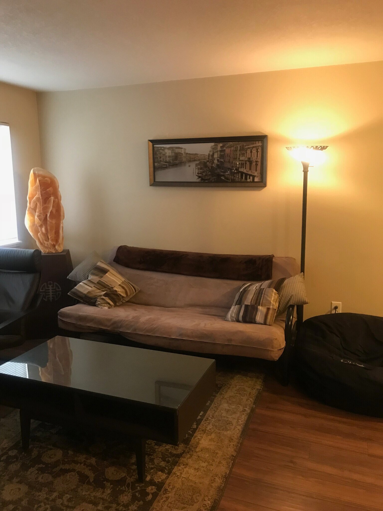 Open living room with natural light given end unit - 1209 W Plum St