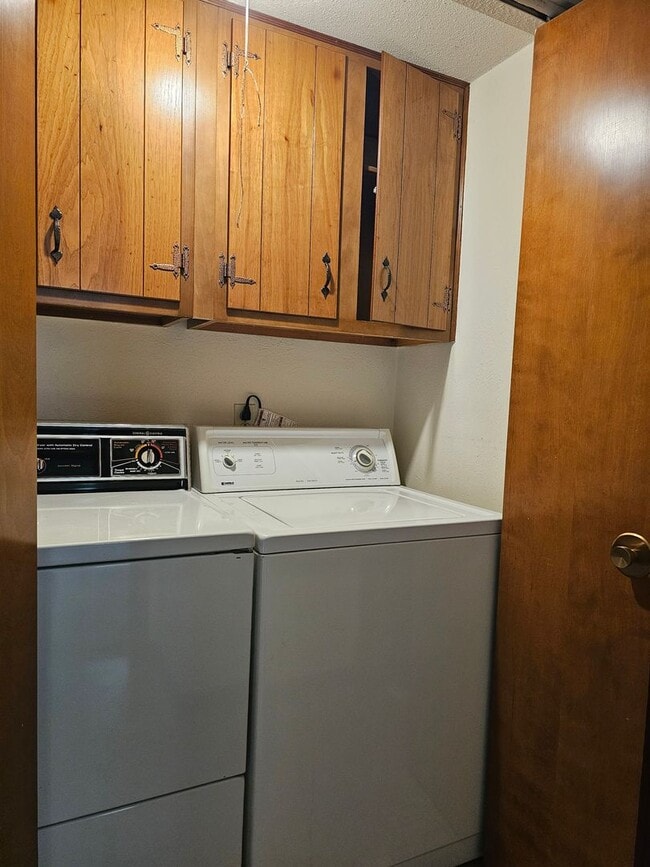 Building Photo - Spacious and bright BG Home