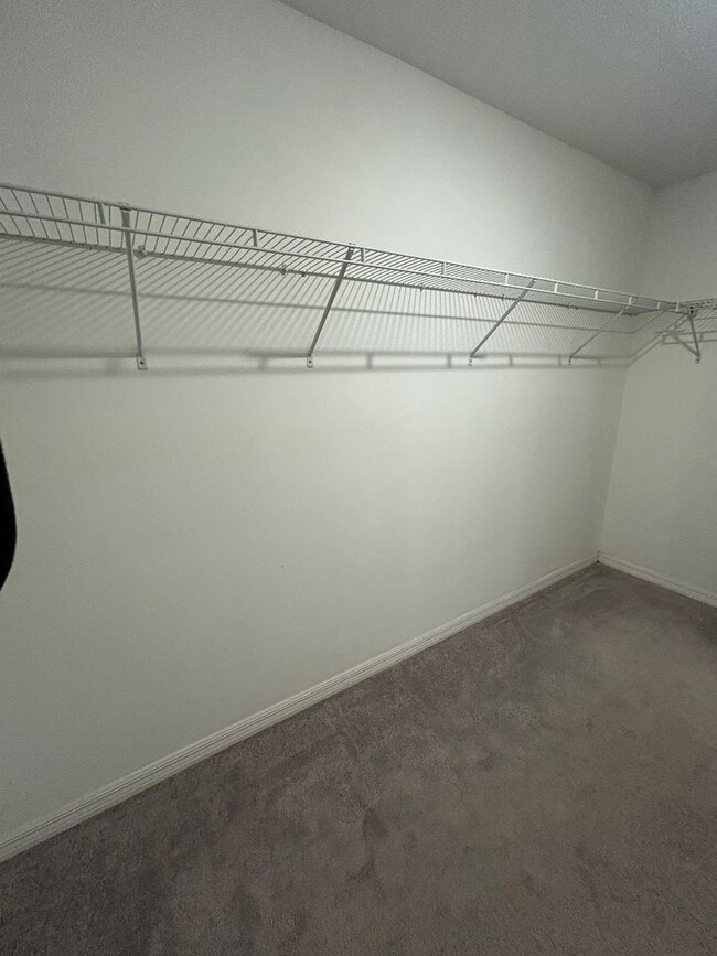 Building Photo - 17345 White Mangrove Dr