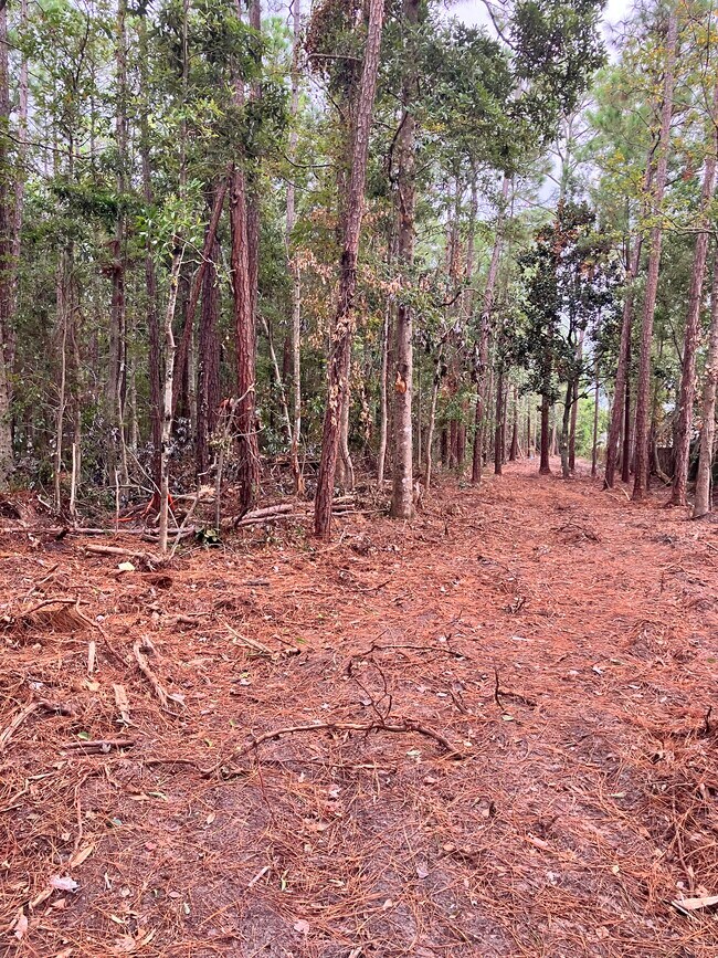 Building Photo - 164 Golden Meadow Dr