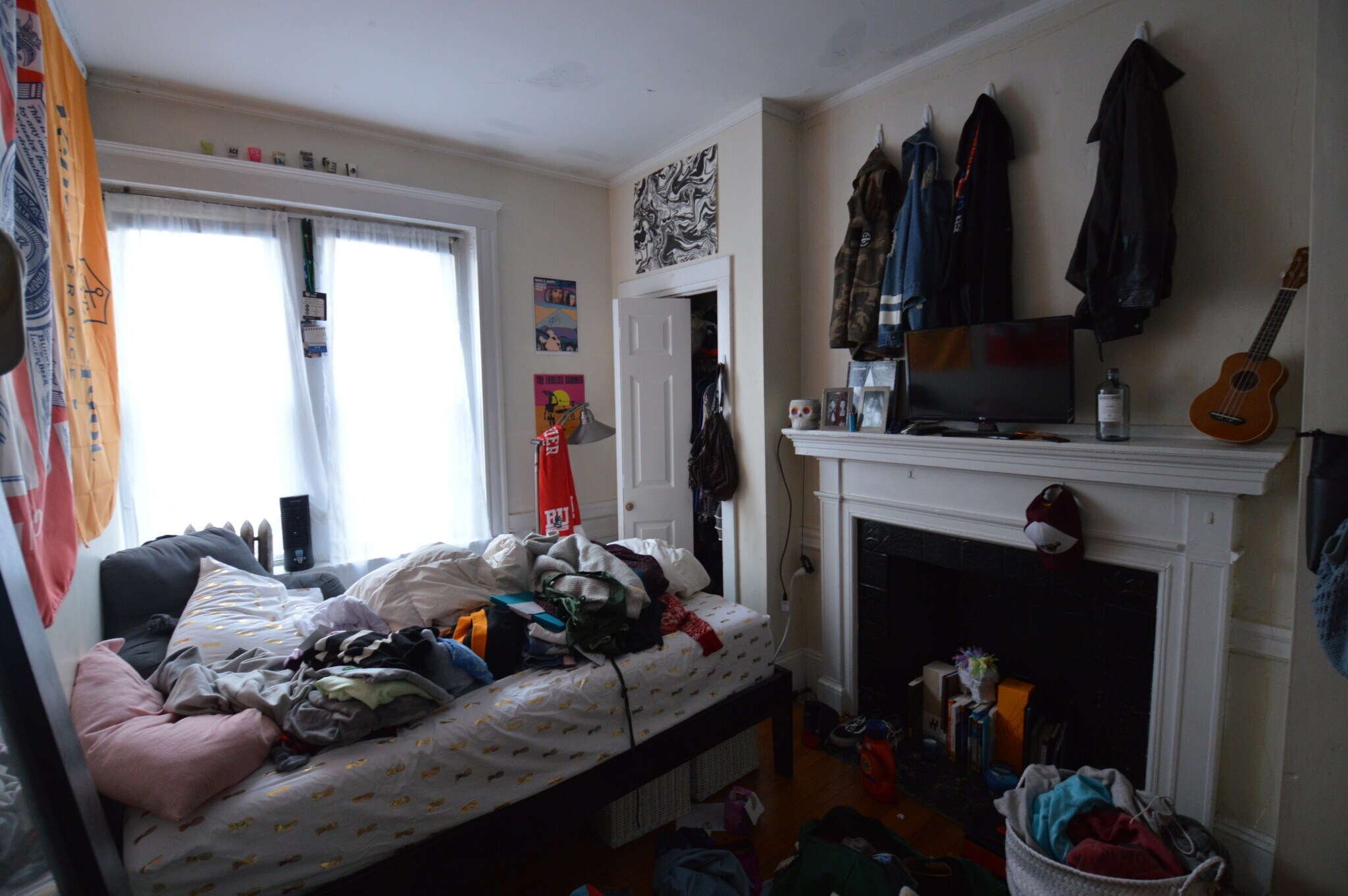 Building Photo - 56 Egmont St