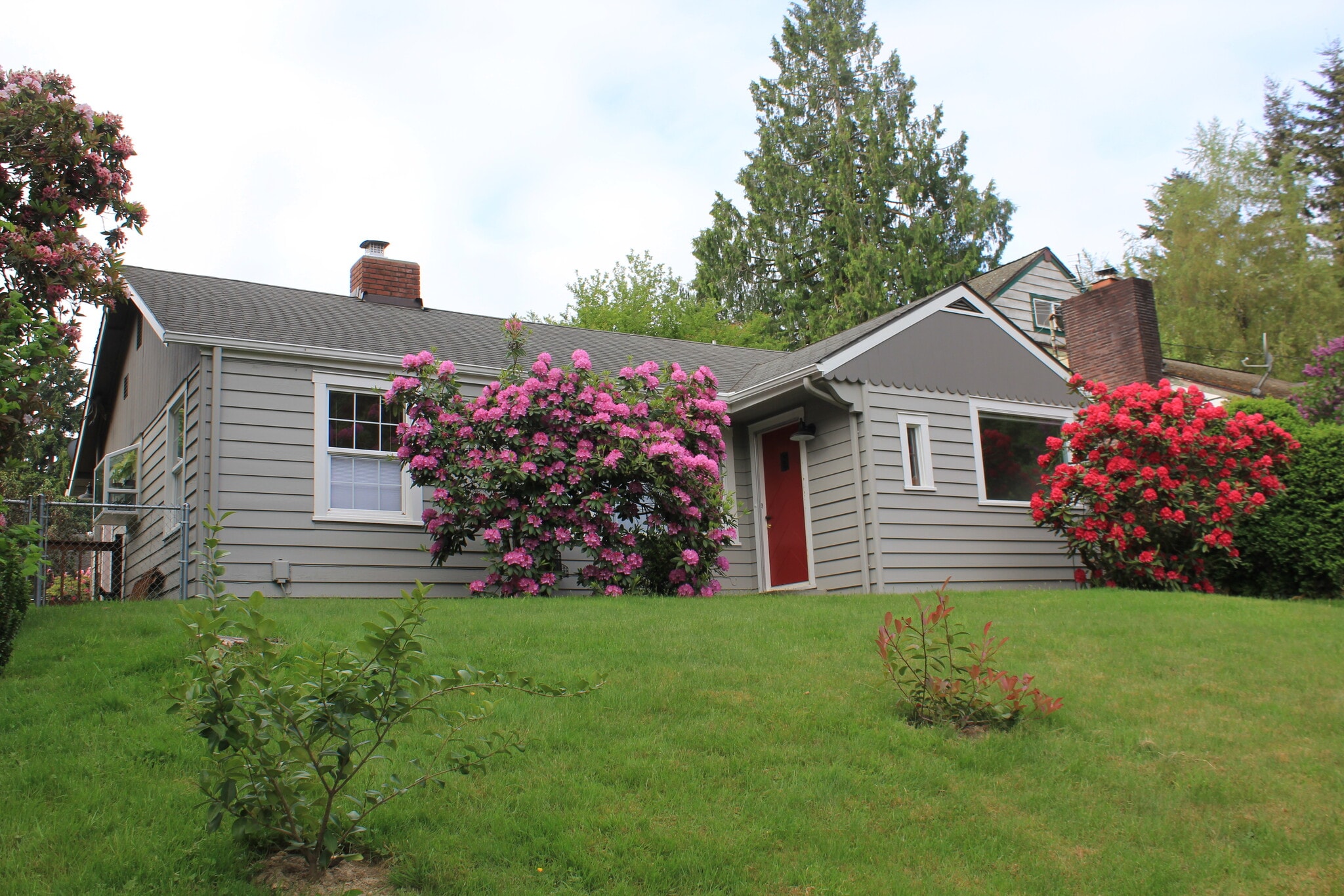 Front yard - 1103 Brawne Avenue NW